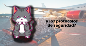 Gatito en BOA