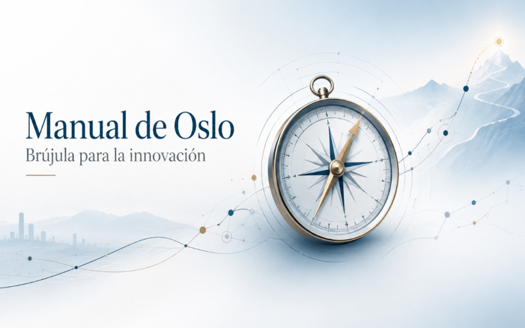 manual de oslo imagen